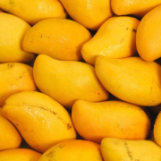 Kesar Mango