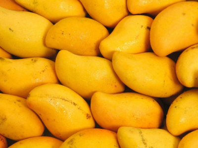 Kesar Mango